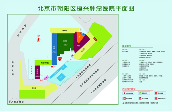 素颜人骚逼黄色所有网站更多视频北京市朝阳区桓兴肿瘤医院平面图